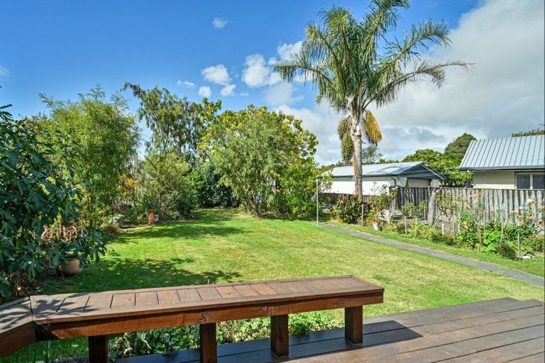 Photo of property in 45 Plassey Street, Havelock North, 4130