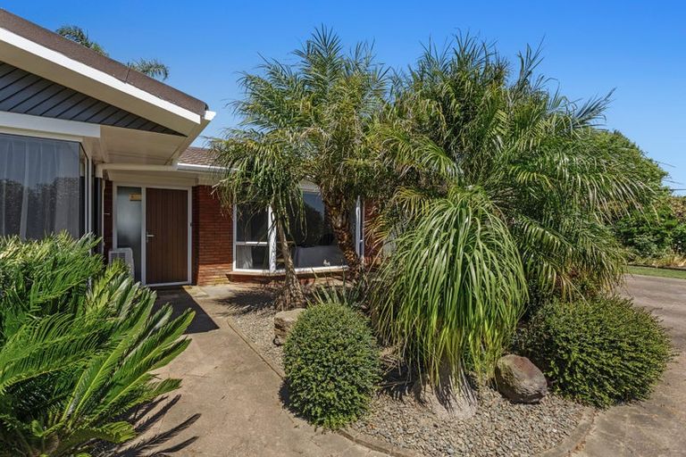 Photo of property in 641 Thornton Road, Thornton, Whakatane, 3194