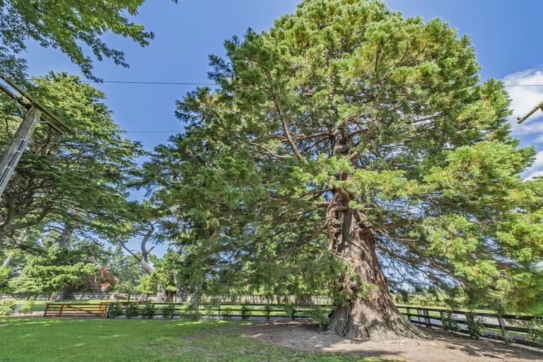 Photo of property in 428 Kowai Road, Springfield, 7681