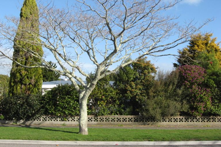 Photo of property in 25a Beach Street, Whakatane, 3120