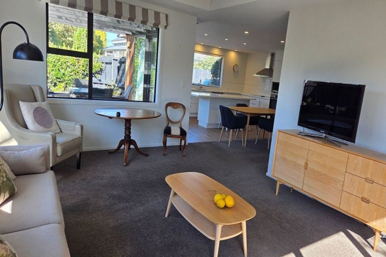 Photo of property in 107c Alfred Street, Blenheim, 7201