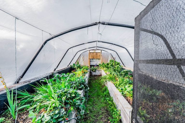 Photo of property in 37 Warwick Road, Stratford, 4332