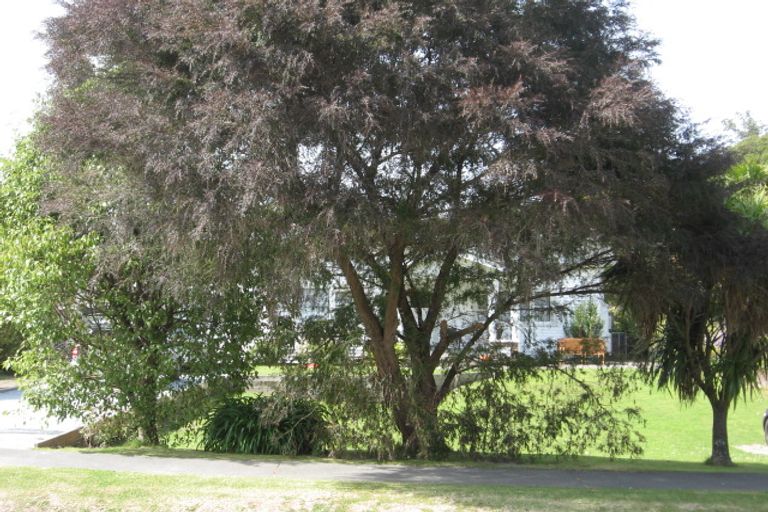 Photo of property in 159 Fox Street, Whataupoko, Gisborne, 4010