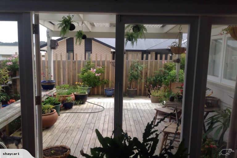 Photo of property in 38 Jellicoe Avenue, Tuakau, 2121