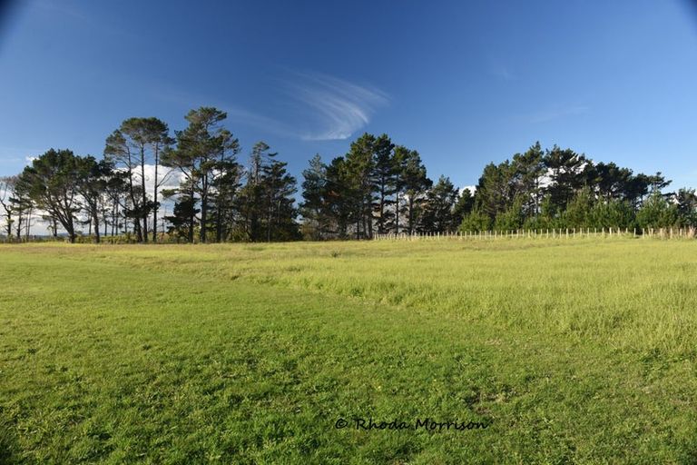 Photo of property in 986 Tinopai Road, Tinopai, Matakohe, 0593