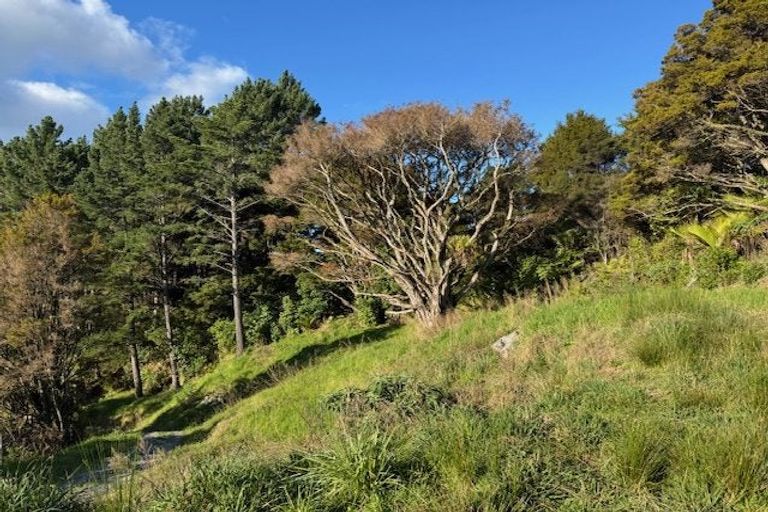 Photo of property in 211 Krippner Road, Puhoi, Warkworth, 0994