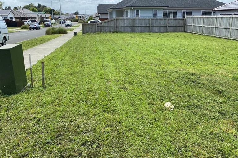 Photo of property in 17 Huamanu Street, Pukekohe, 2120