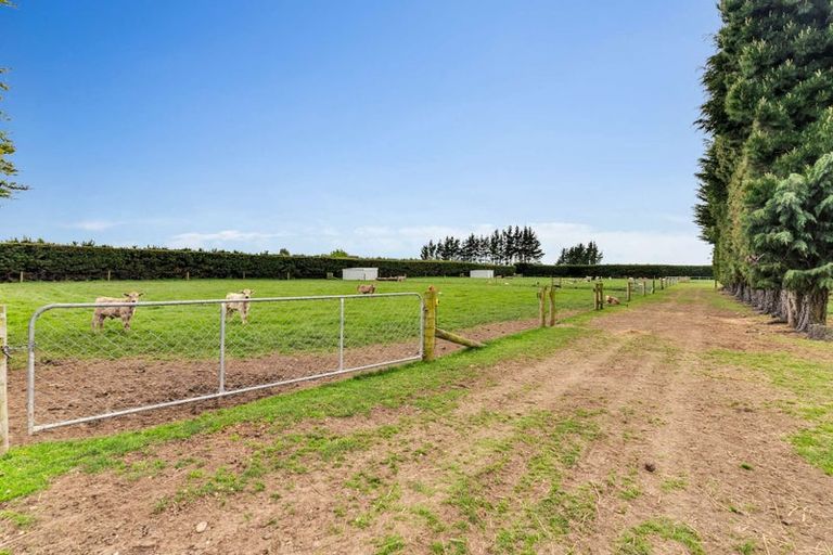 Photo of property in 16 Winslow Westerfield Road, Winslow, Ashburton, 7775
