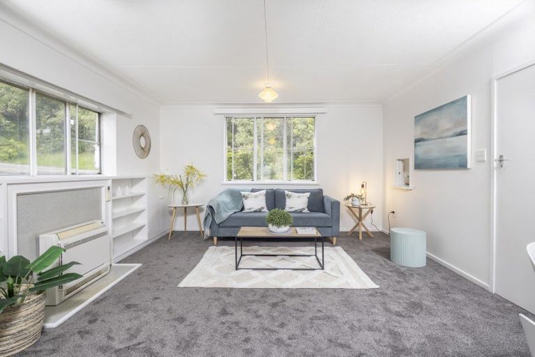 Photo of property in 39 Opoho Road, North East Valley, Dunedin, 9010