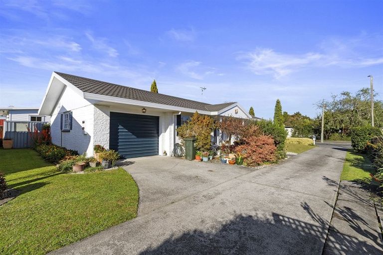 Photo of property in 24 Lincoln Street, Morrinsville, 3300