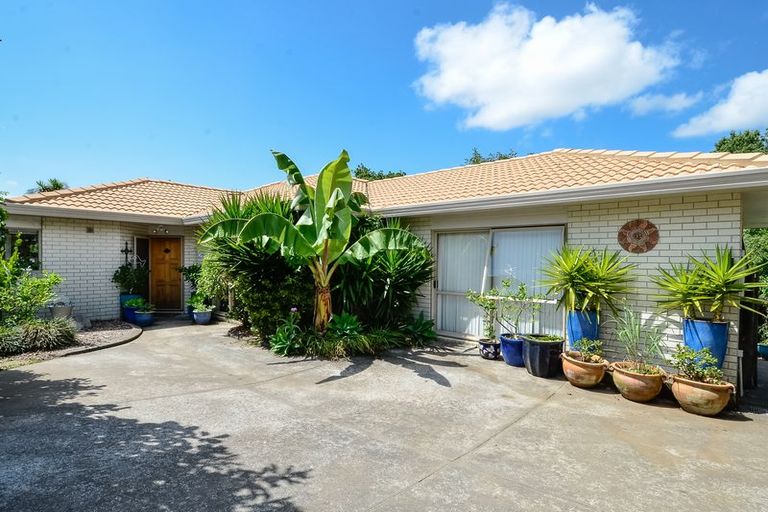 Photo of property in 6 Jelicich Court, Henderson, Auckland, 0612
