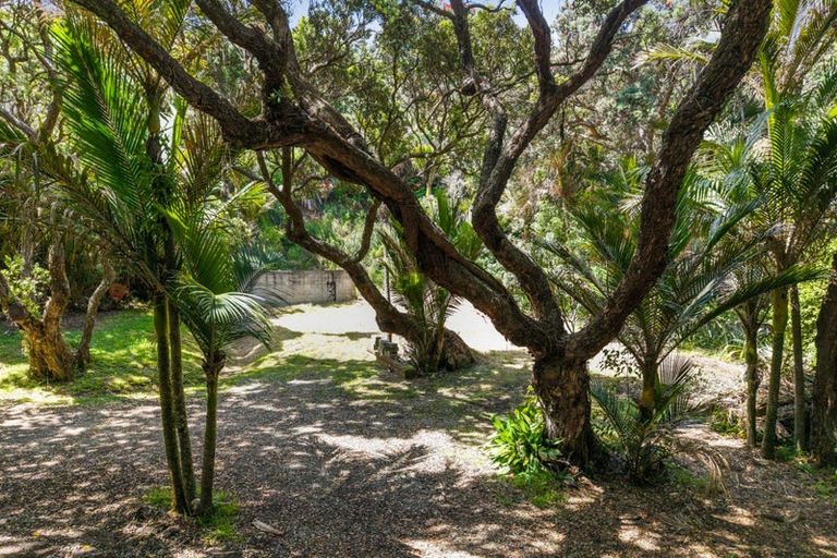 Photo of property in 48 Beach Valley Road, Piha, 0772