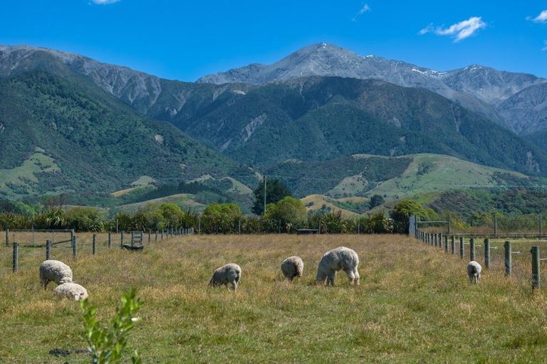 Photo of property in 29 Skevingtons Road, Hapuku, Kaikoura, 7371