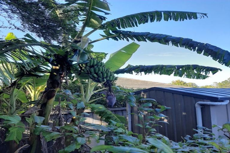 Photo of property in 4 Parkdale Close, Snells Beach, 0920