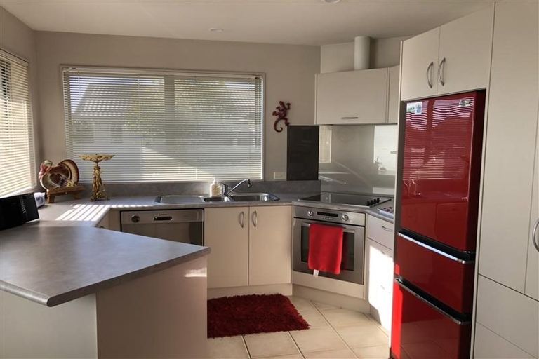 Photo of property in 117 Gladstone Road, Richmond, 7020