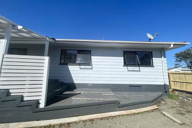 Photo of property in 133 Finlayson Avenue, Clendon Park, Auckland, 2103