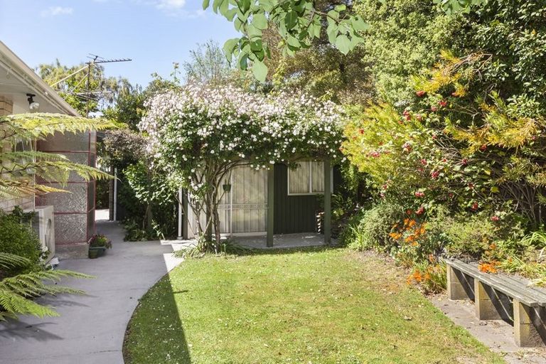 Photo of property in 8 Esher Place, Saint Martins, Christchurch, 8022