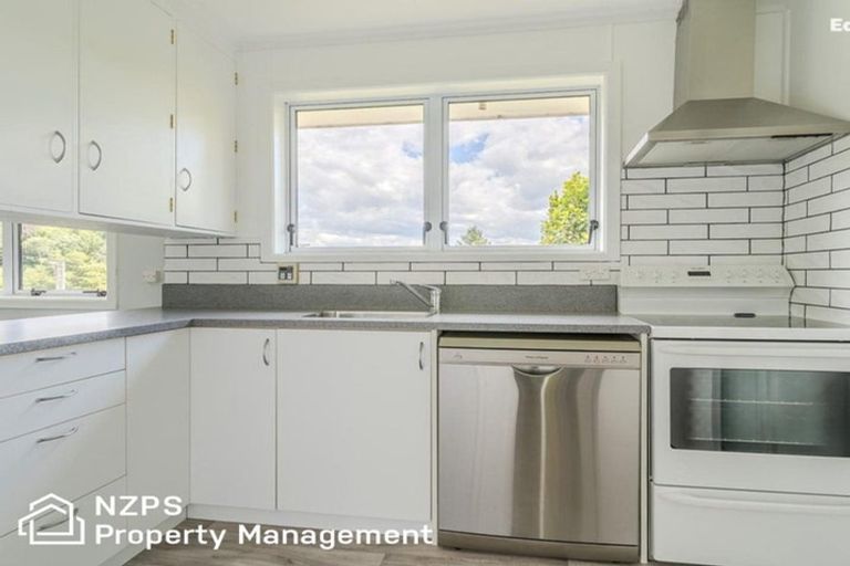 Photo of property in 41 Montague Street, North East Valley, Dunedin, 9010