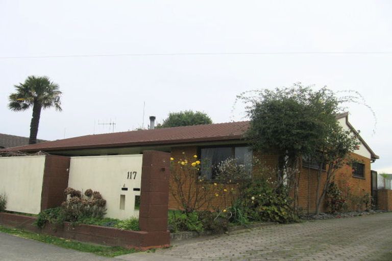 Photo of property in 2/117 Guppy Road, Taradale, Napier, 4112