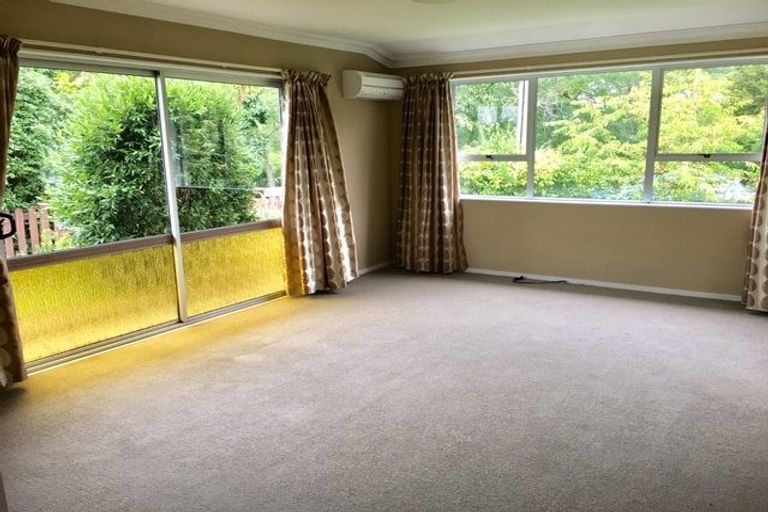 Photo of property in 49 Domett Street, Nelson, 7010