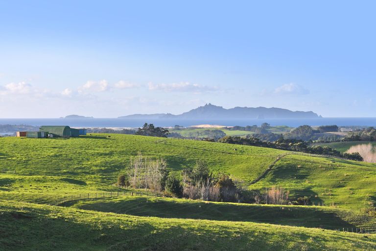Photo of property in 210 Staniforth Road, Kaiwaka, Wellsford, 0975