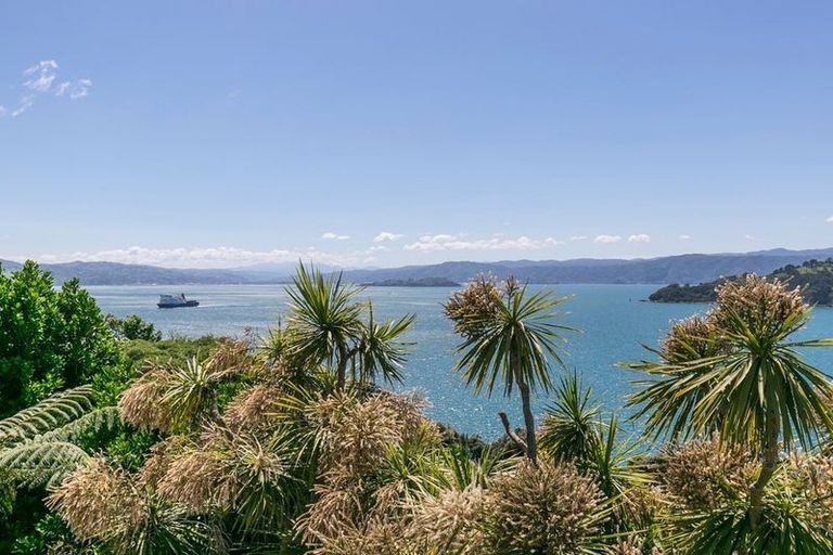 Photo of property in 15 Grafton Road, Roseneath, Wellington, 6011