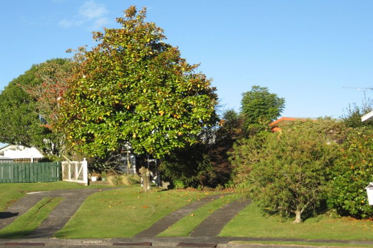 Photo of property in 5 Kotare Place, Tokoroa, 3420