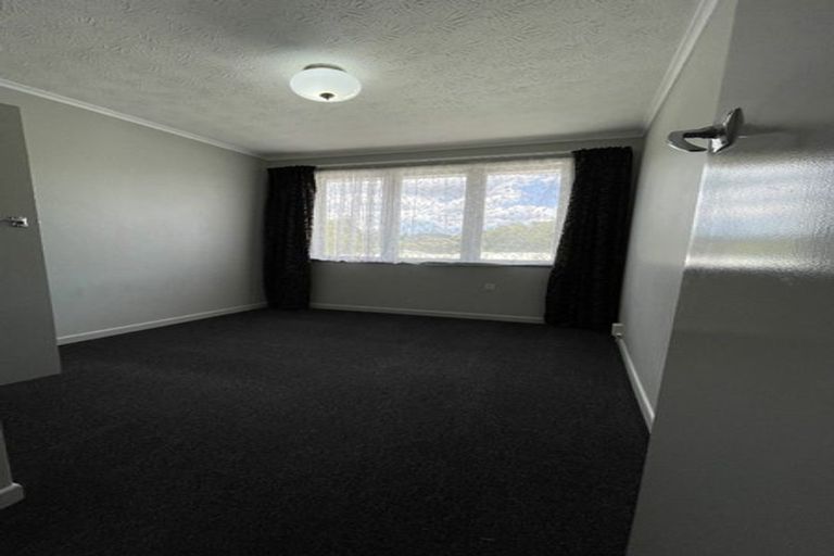 Photo of property in 10 Hinau Street, New Lynn, Auckland, 0600
