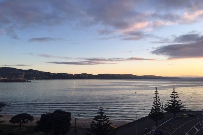 Photo of property in 154u1 Oriental Parade, Oriental Bay, Wellington, 6011