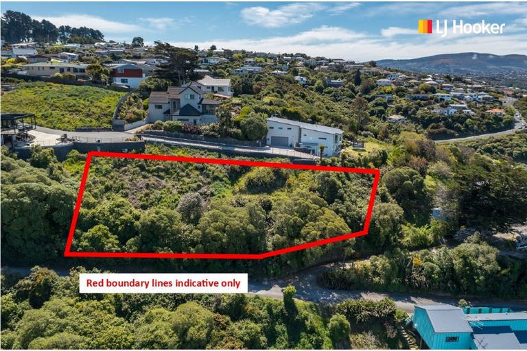 Photo of property in 2l Clayton Street, Saint Clair, Dunedin, 9012