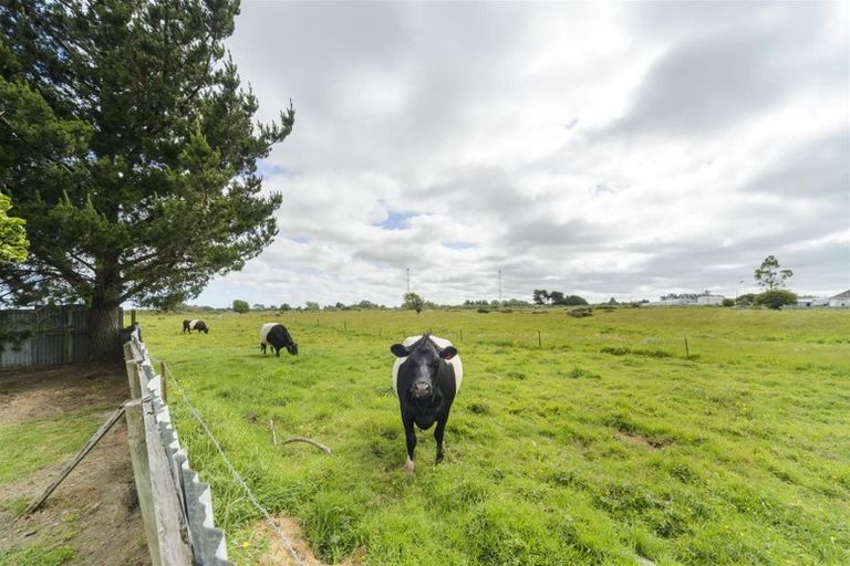 Photo of property in 26 Princess Street, Marton, 4710