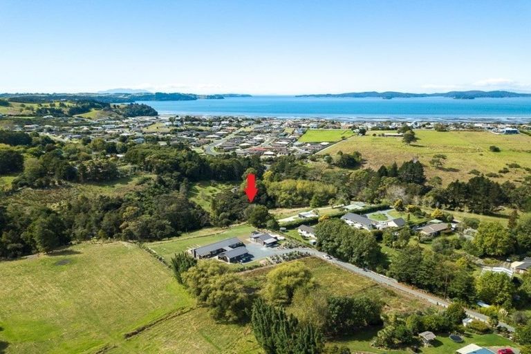 Photo of property in 101 Grange Street, Warkworth, 0982