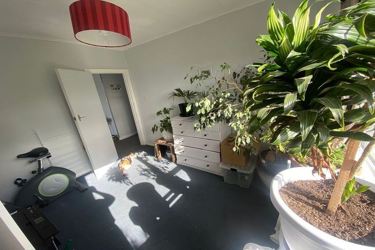 Photo of property in 17b Marewa Road, Hataitai, Wellington, 6021