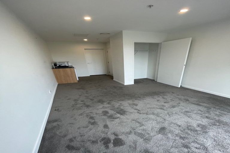 Photo of property in Vsp South, 301/168u Victoria Street, Te Aro, Wellington, 6011