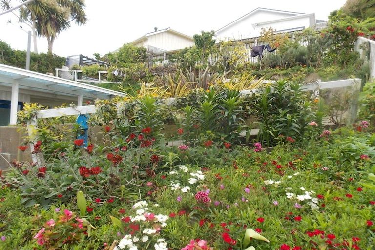 Photo of property in 6 Rewa Road, Hataitai, Wellington, 6021