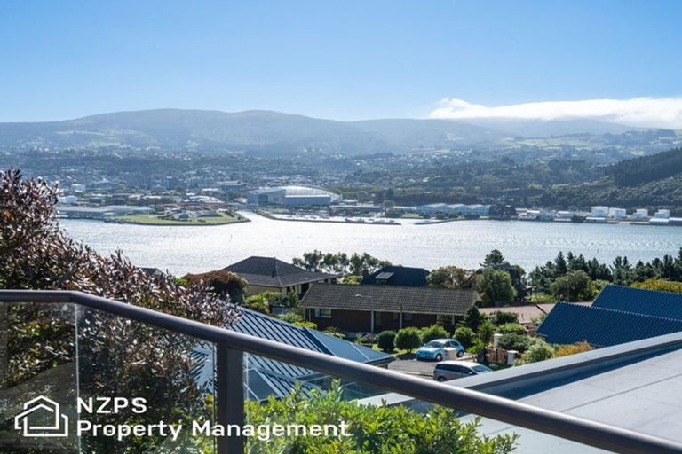 Photo of property in 225 Larnach Road, Waverley, Dunedin, 9013