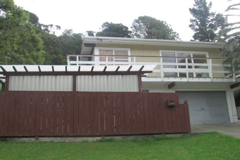 Photo of property in 107 Hair Street, Wainuiomata, Lower Hutt, 5014