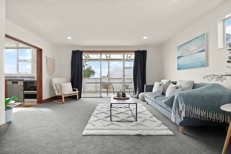 Photo of property in 58 Spencer Street, Andersons Bay, Dunedin, 9013