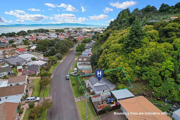 Photo of property in 303 Campbell Street, Thames, 3500
