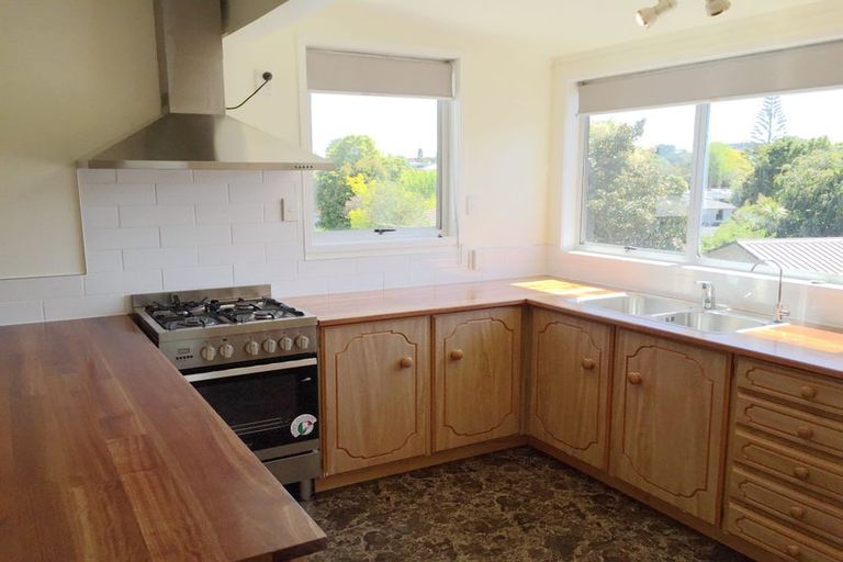 Photo of property in 44 Kaikoura Street, Henderson, Auckland, 0612