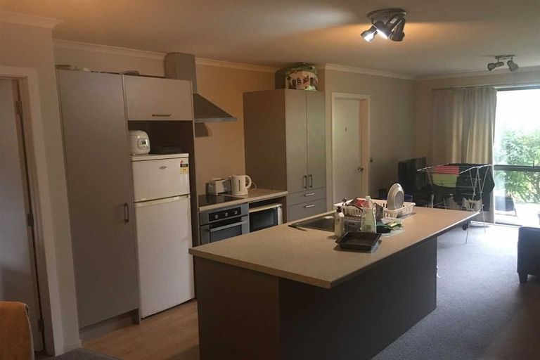 Photo of property in 27u1 Hogan Street, Hamilton East, Hamilton, 3216