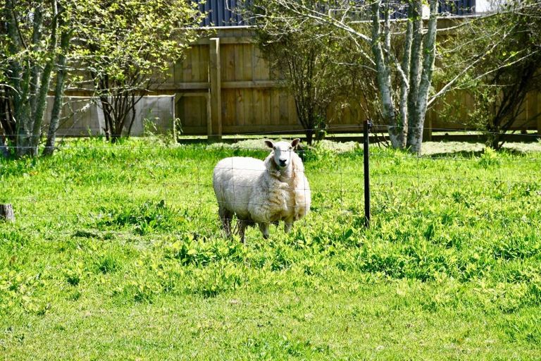 Photo of property in 131 Oparara Road, Karamea, 7893