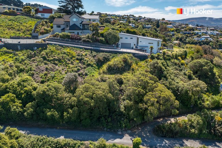 Photo of property in 2l Clayton Street, Saint Clair, Dunedin, 9012