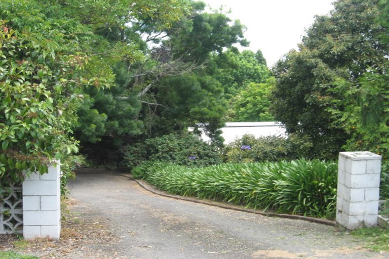 Photo of property in 139 Te Puna Road, Te Puna, Tauranga, 3174