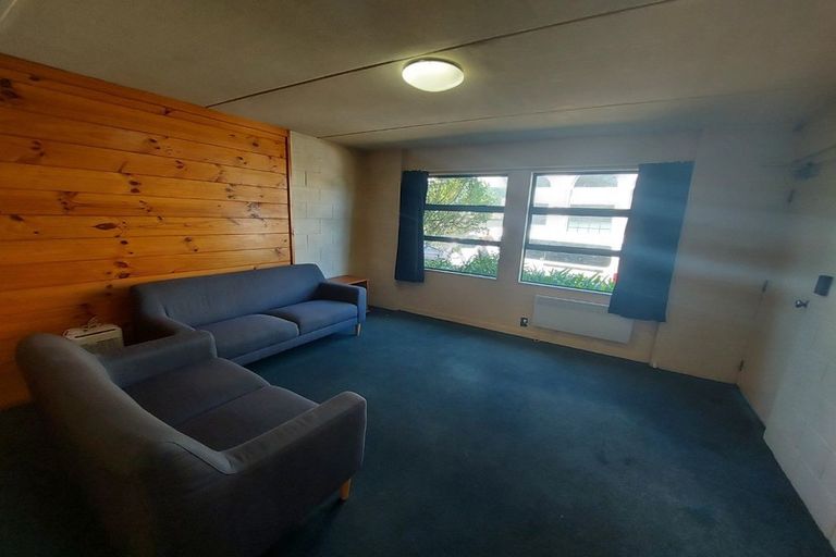 Photo of property in Te Awhina Apartments, 19/22u Sussex Street, Mount Cook, Wellington, 6021