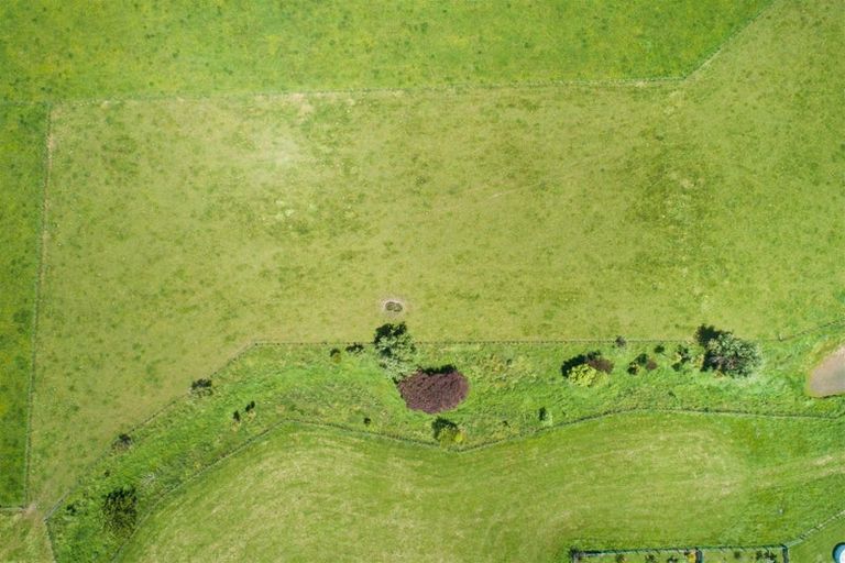 Photo of property in 81 Pukepapa Road, Marton, 4710