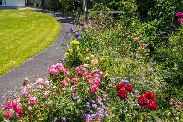 Photo of property in 15 Wood Street, Greytown, 5712