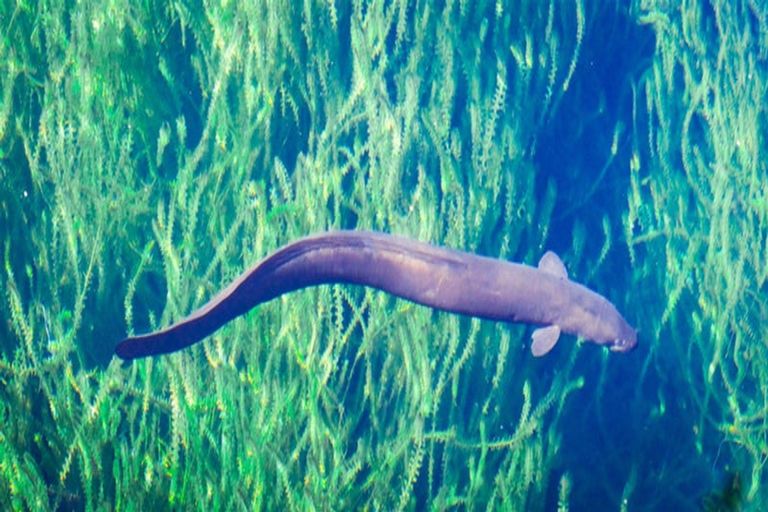 Photo of property in 53 Porika Road, Rotoroa, Murchison, 7077