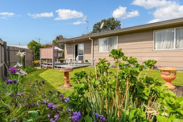 Photo of property in 191b Maungatapu Road, Maungatapu, Tauranga, 3112