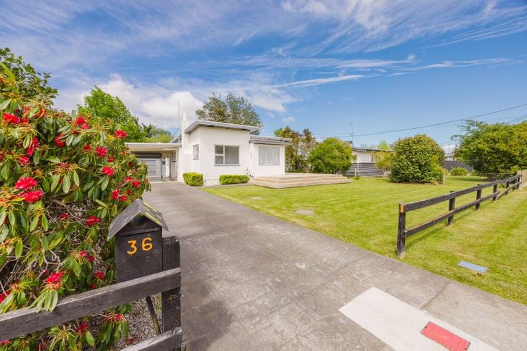 Photo of property in 36 Francis Drake Street, Waipukurau, 4200